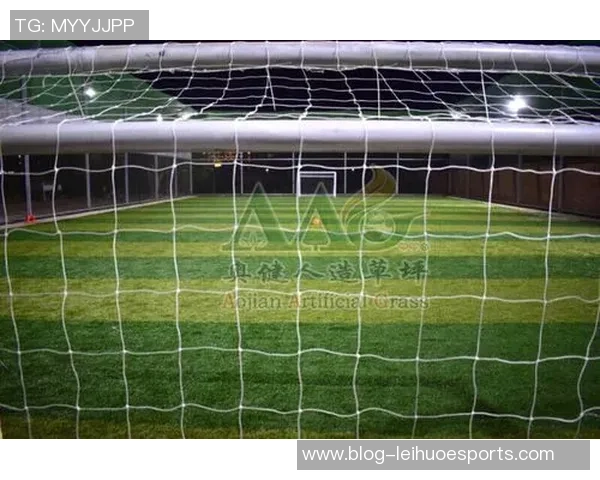 足球库英寸的秘密解析与实战应用技巧分享